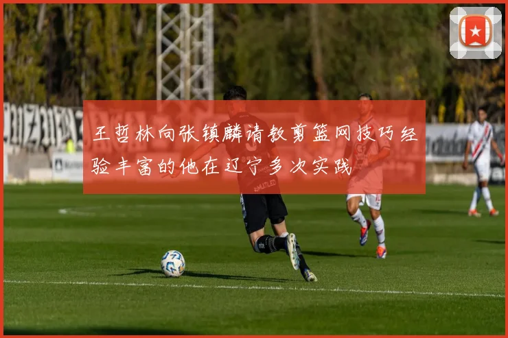 王哲林向张镇麟请教剪篮网技巧经验丰富的他在辽宁多次实践