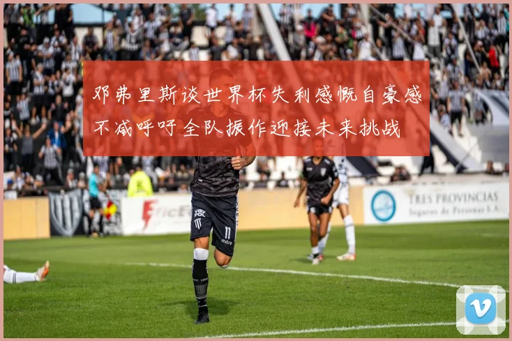 邓弗里斯谈世界杯失利感慨自豪感不减呼吁全队振作迎接未来挑战