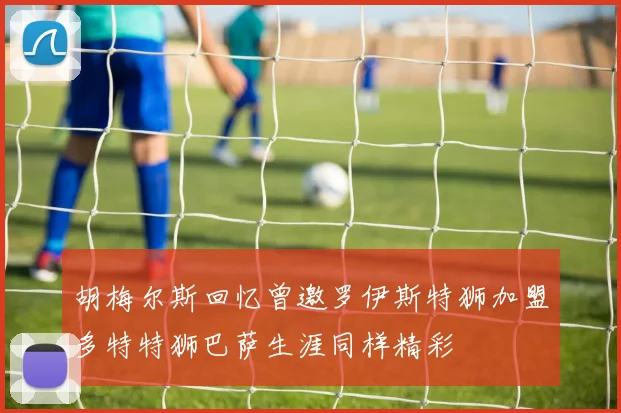 胡梅尔斯回忆曾邀罗伊斯特狮加盟多特特狮巴萨生涯同样精彩