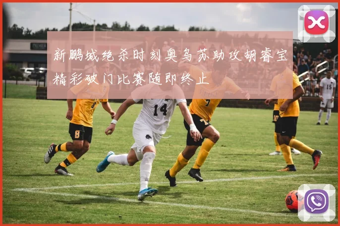 新鹏城绝杀时刻奥乌苏助攻胡睿宝精彩破门比赛随即终止